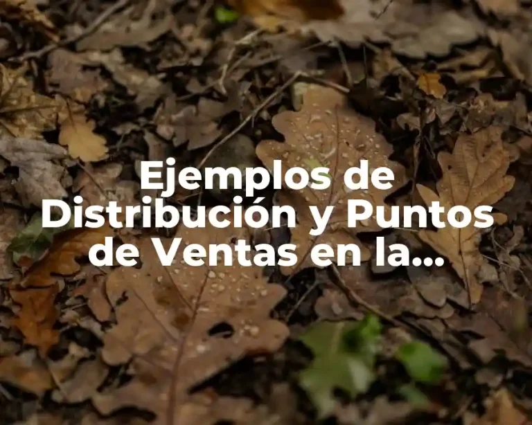 Ejemplos de Distribución y Puntos de Ventas en la Apimelada