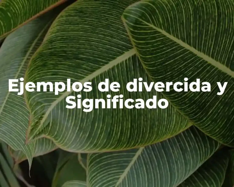 Ejemplos de divercida y Significado