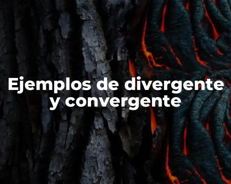 Ejemplos de divergente y convergente