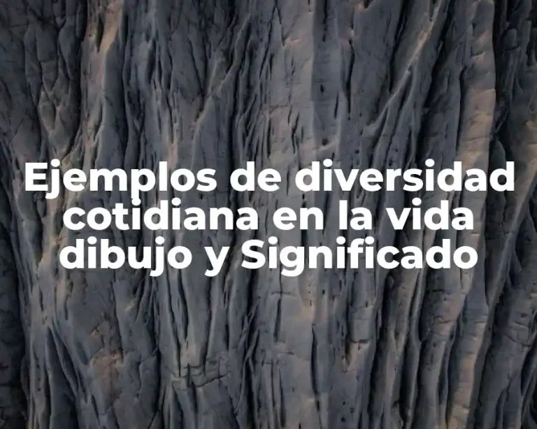 Ejemplos de diversidad cotidiana en la vida dibujo y Significado