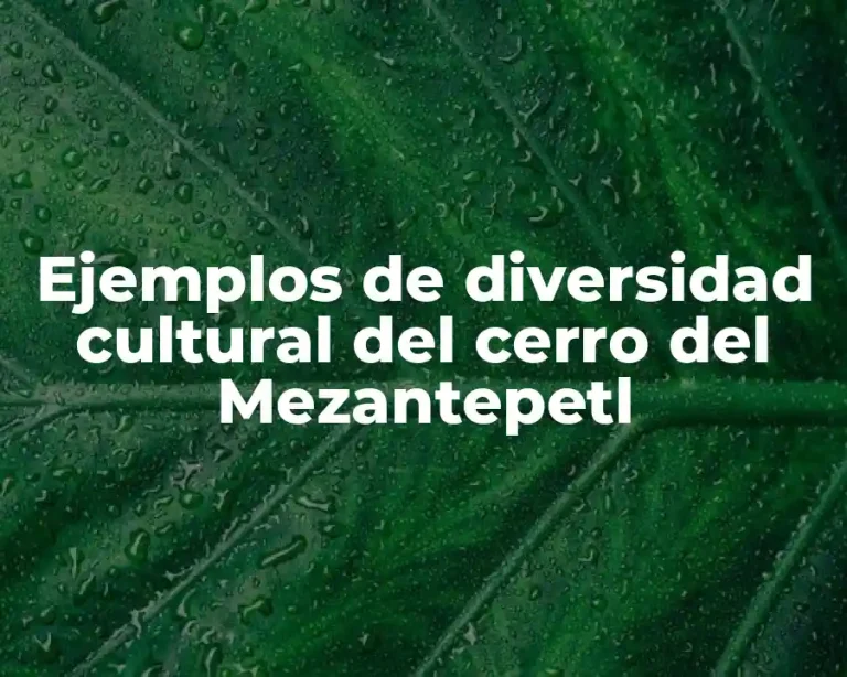 Ejemplos de diversidad cultural del cerro del Mezantepetl
