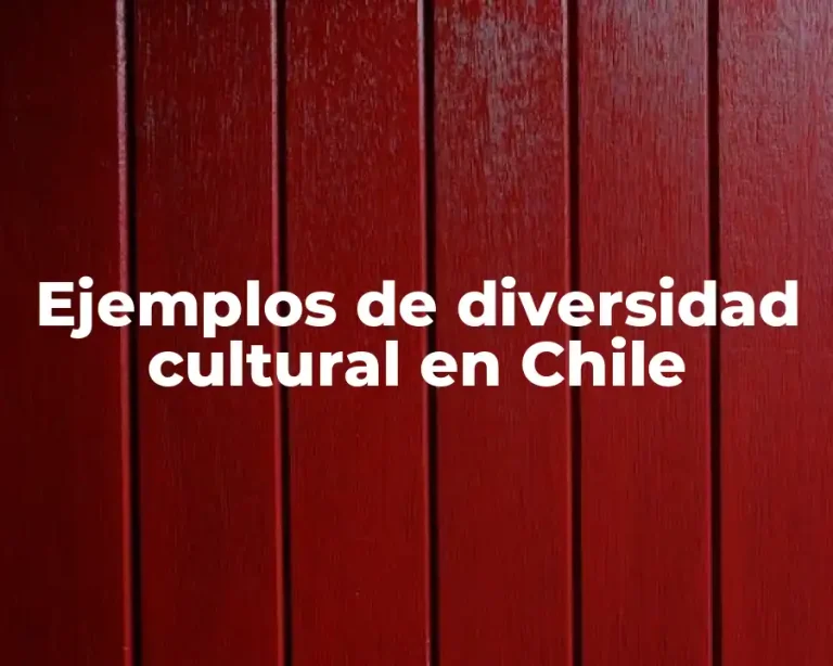 Ejemplos de diversidad cultural en Chile