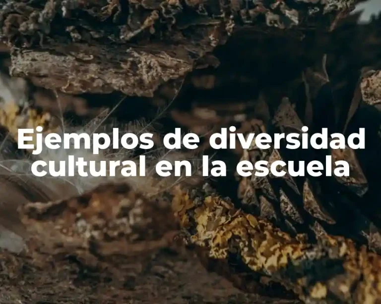 Ejemplos de diversidad cultural en la escuela