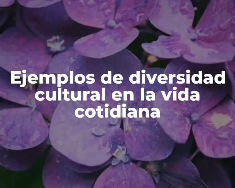 Ejemplos de diversidad cultural en la vida cotidiana