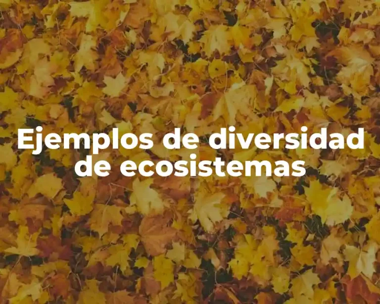 Ejemplos de diversidad de ecosistemas