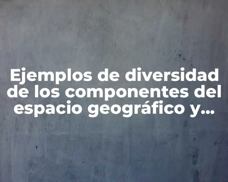 Ejemplos de diversidad de los componentes del espacio geográfico y Significado