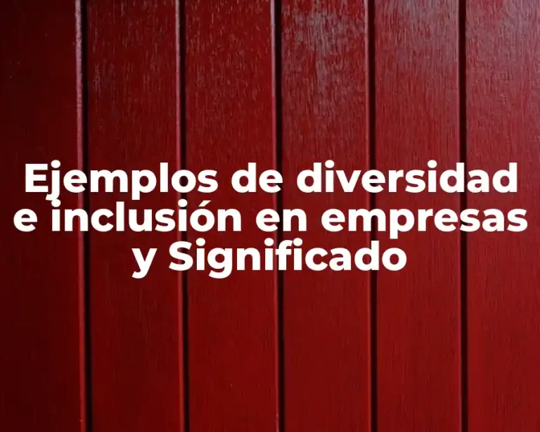 Ejemplos de diversidad e inclusión en empresas y Significado