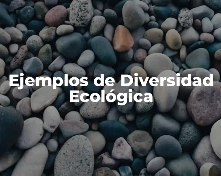 Ejemplos de Diversidad Ecológica
