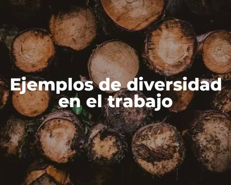 Ejemplos de diversidad en el trabajo