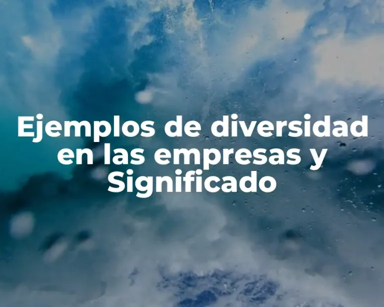 Ejemplos de diversidad en las empresas y Significado