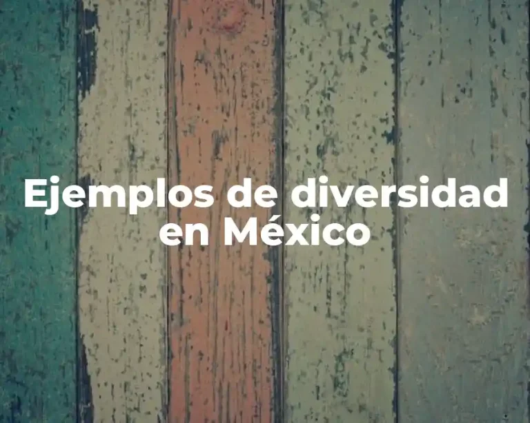 Ejemplos de diversidad en México