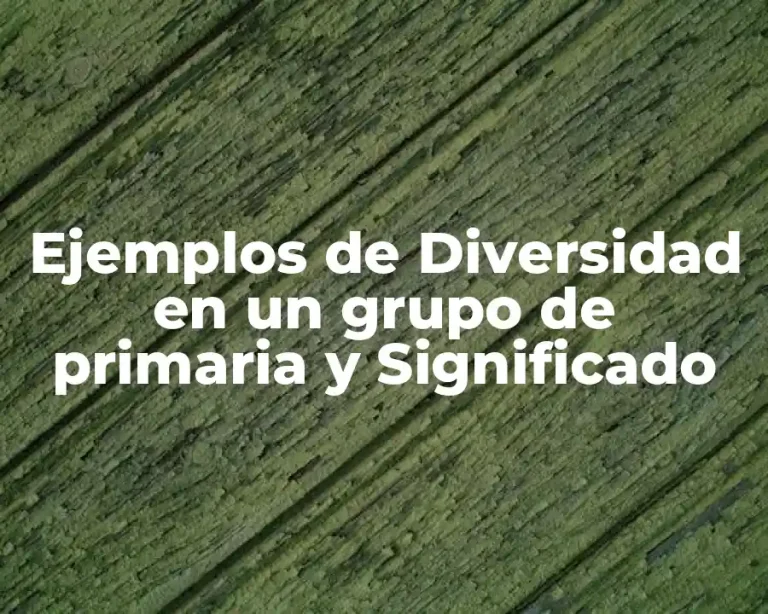 Ejemplos de Diversidad en un grupo de primaria y Significado