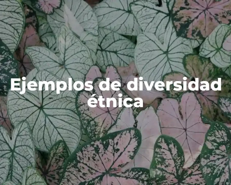 Ejemplos de diversidad étnica