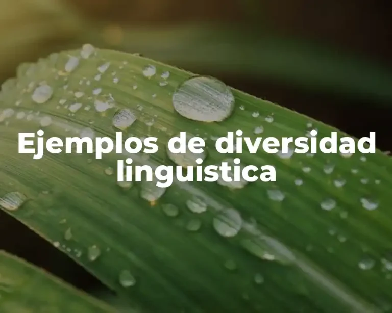 Ejemplos de diversidad linguistica