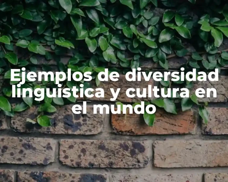 Ejemplos de diversidad linguistica y cultura en el mundo