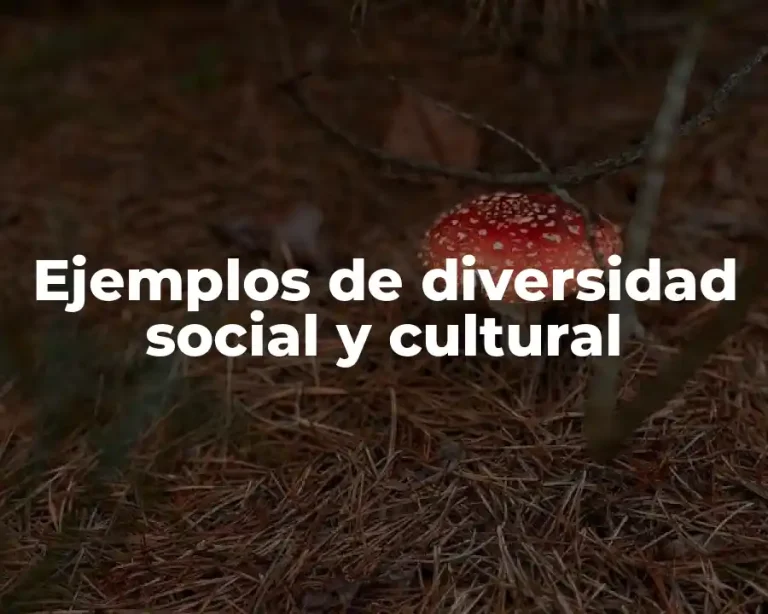 Ejemplos de diversidad social y cultural