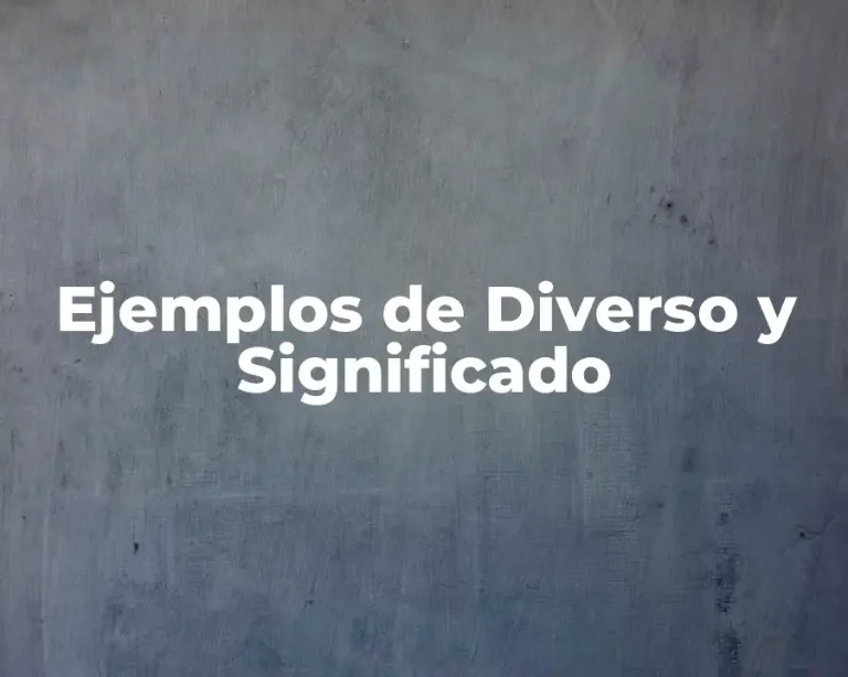 Ejemplos de Diverso y Significado
