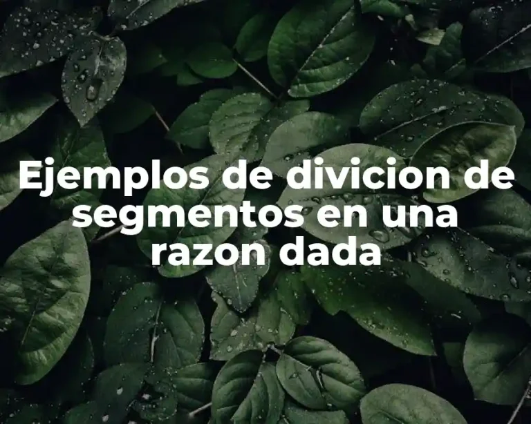 Ejemplos de divicion de segmentos en una razon dada