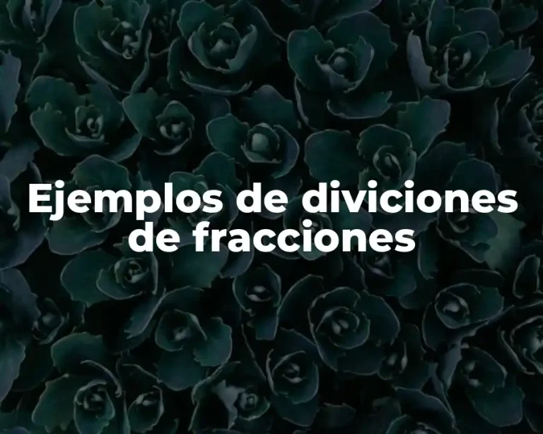 Ejemplos de diviciones de fracciones