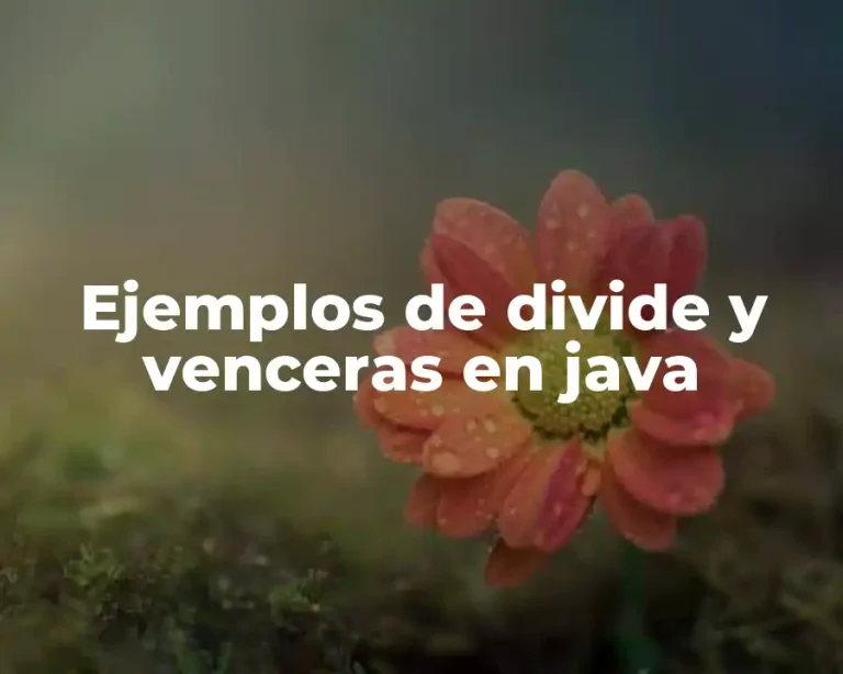 Ejemplos de divide y venceras en java