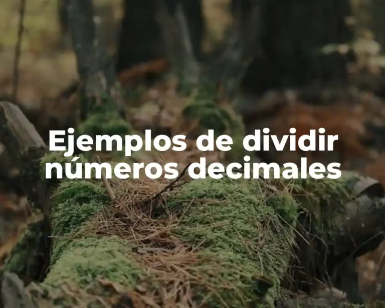 Ejemplos de dividir números decimales