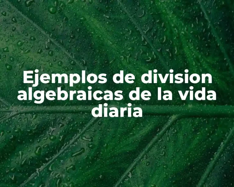 Ejemplos de division algebraicas de la vida diaria