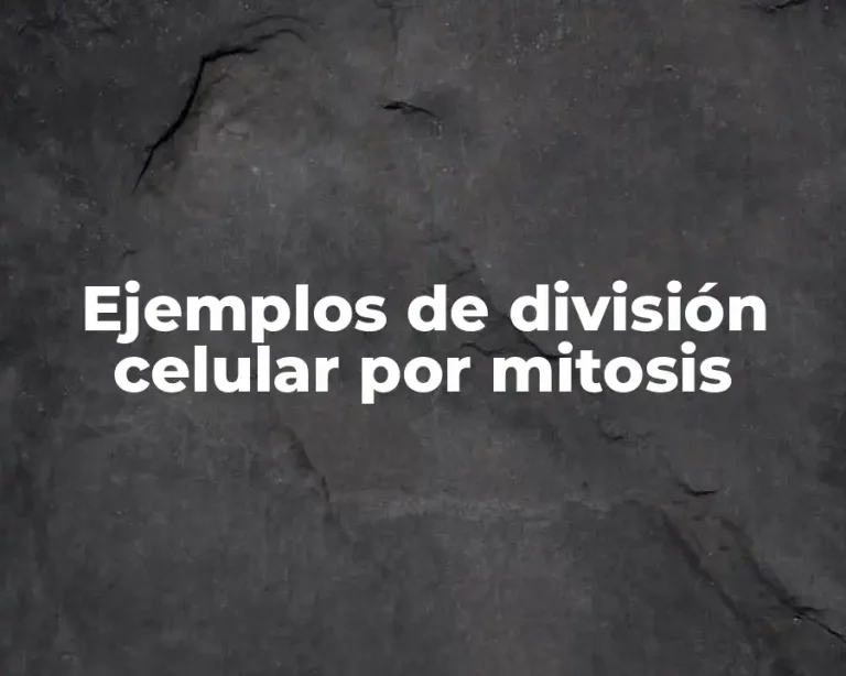 Ejemplos de división celular por mitosis