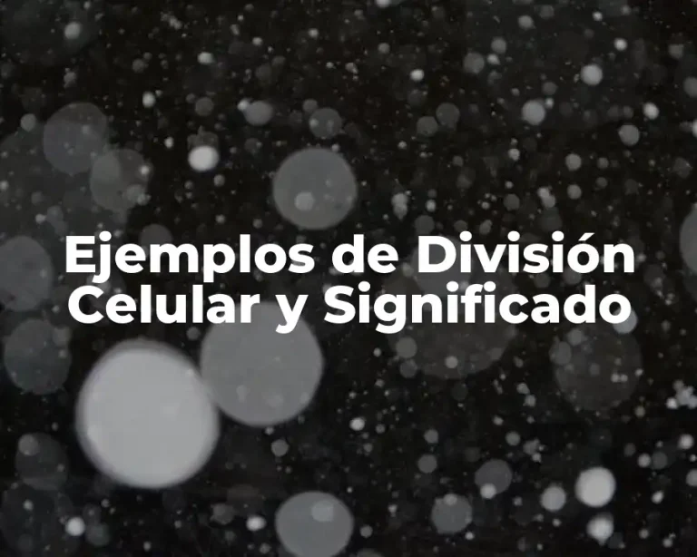 Ejemplos de División Celular y Significado