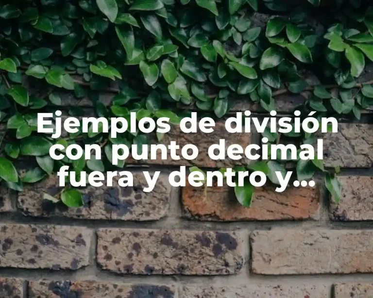 Ejemplos de división con punto decimal fuera y dentro y Significado