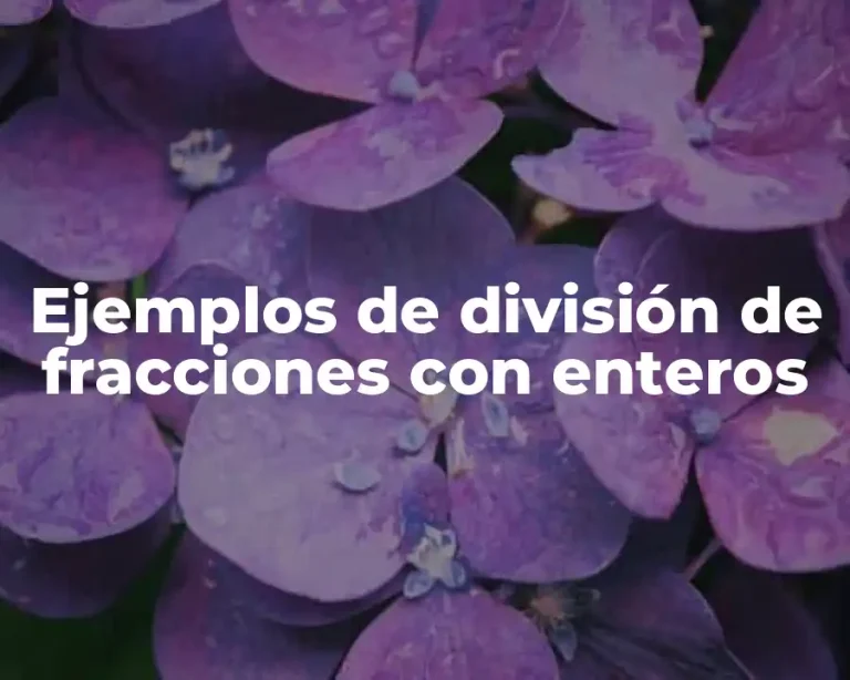 Ejemplos de división de fracciones con enteros
