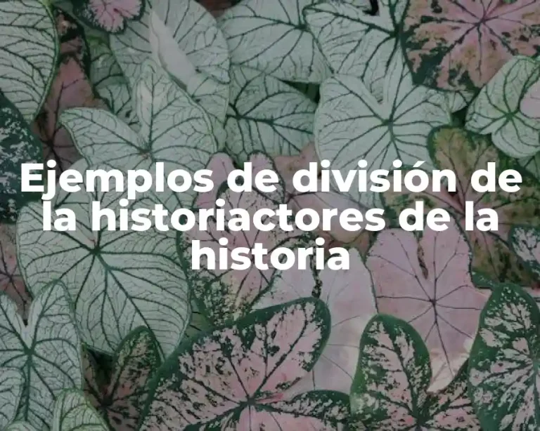 Ejemplos de división de la historiactores de la historia