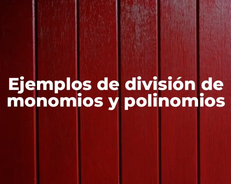 Ejemplos de división de monomios y polinomios