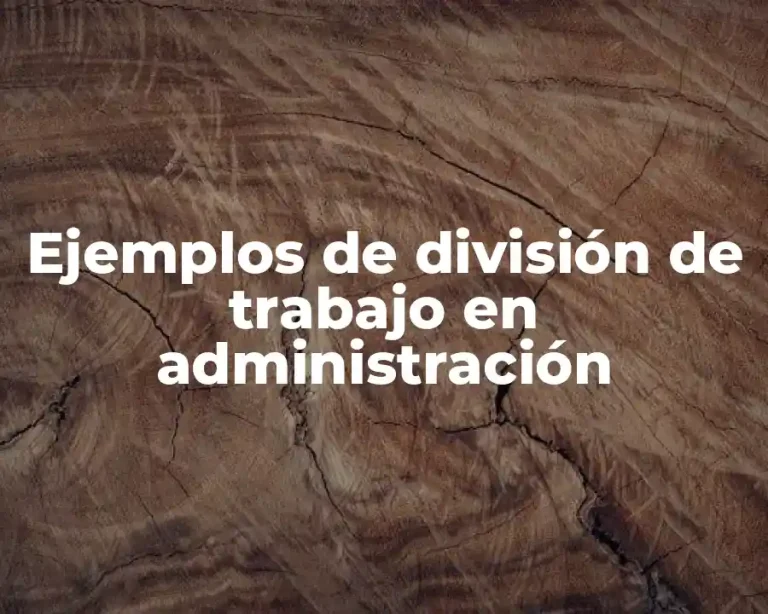 Ejemplos de división de trabajo en administración