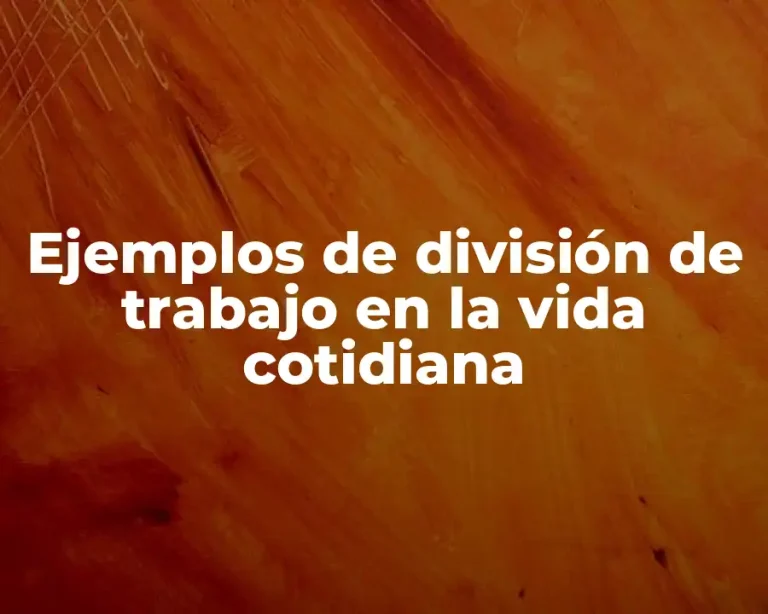 Ejemplos de división de trabajo en la vida cotidiana