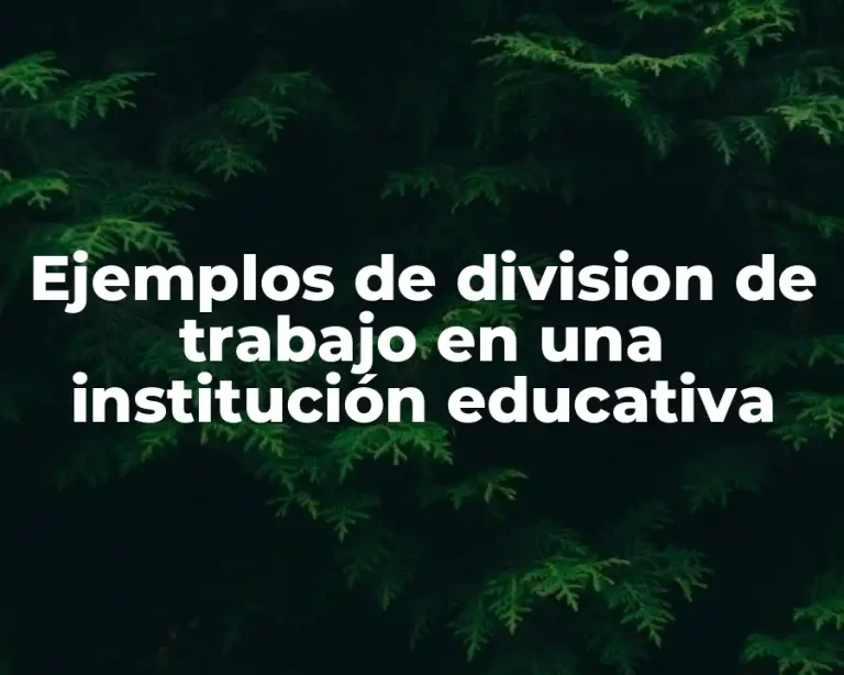 Ejemplos de division de trabajo en una institución educativa