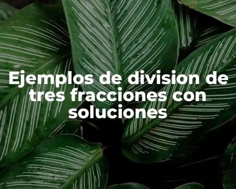 Ejemplos de division de tres fracciones con soluciones