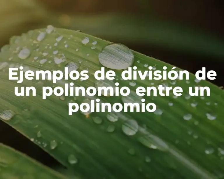 Ejemplos de división de un polinomio entre un polinomio