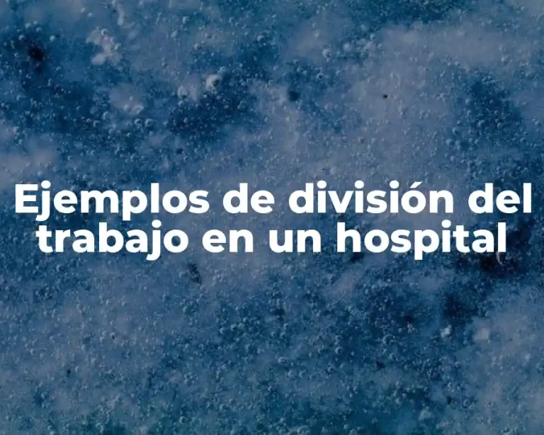Ejemplos de división del trabajo en un hospital