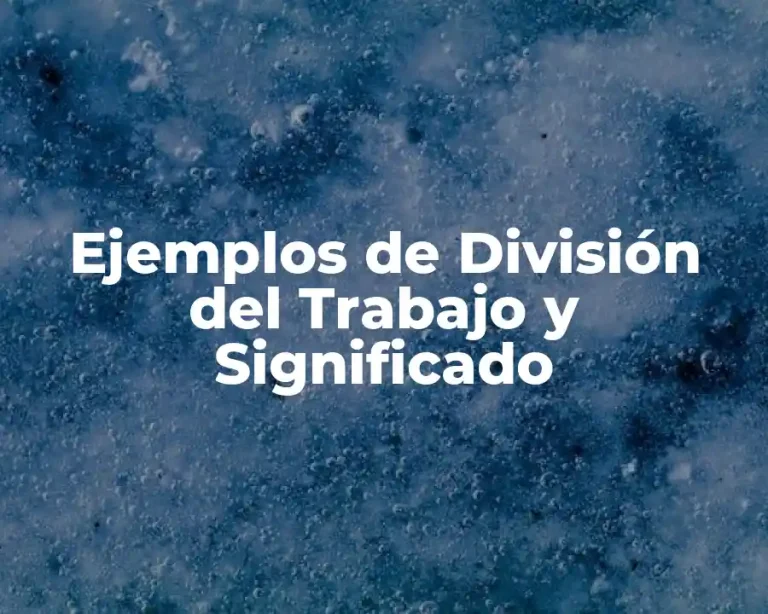 Ejemplos de División del Trabajo y Significado