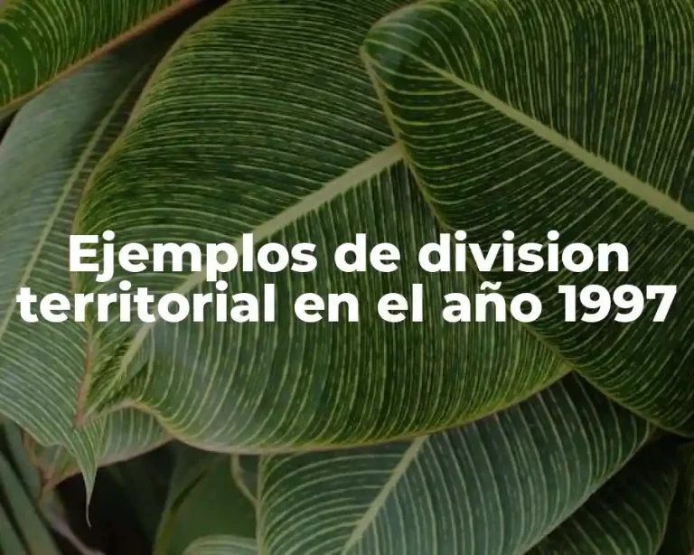 Ejemplos de division territorial en el año 1997