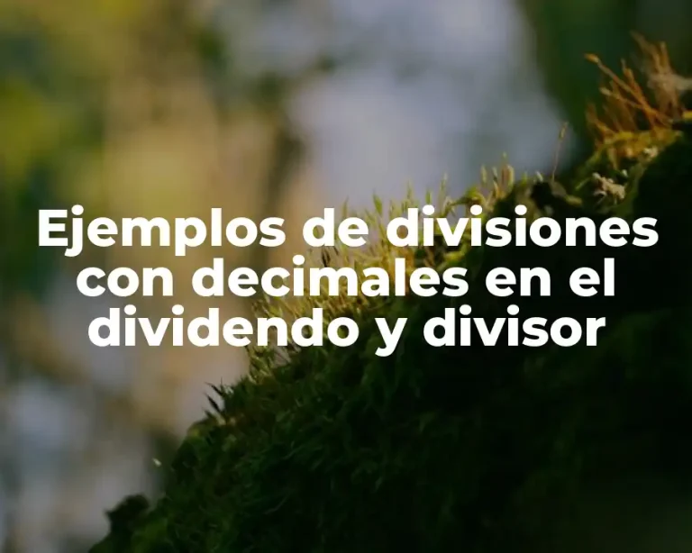 Ejemplos de divisiones con decimales en el dividendo y divisor