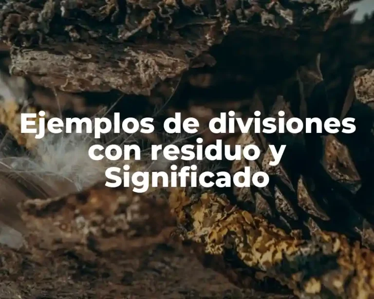 Ejemplos de divisiones con residuo y Significado