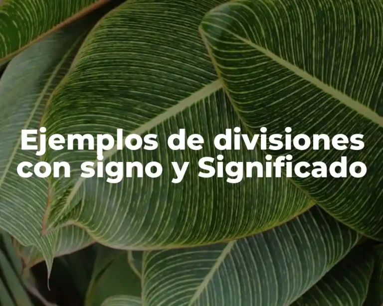 Ejemplos de divisiones con signo y Significado