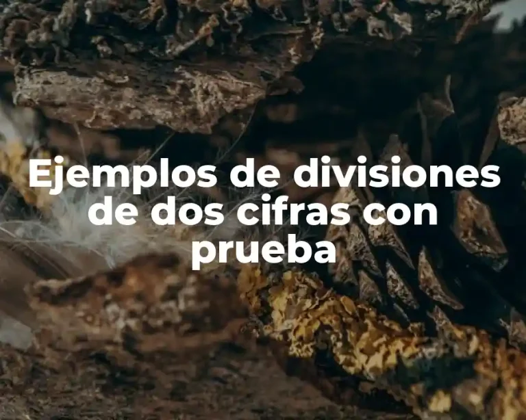 Ejemplos de divisiones de dos cifras con prueba