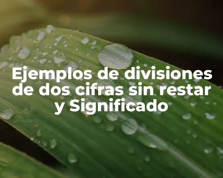 Ejemplos de divisiones de dos cifras sin restar y Significado