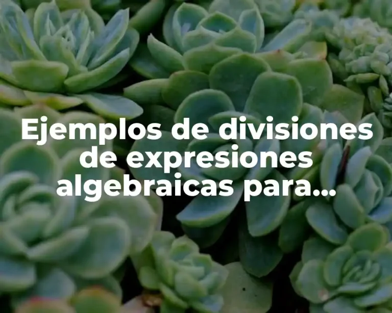Ejemplos de divisiones de expresiones algebraicas para resolver y Significado