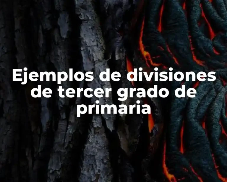 Ejemplos de divisiones de tercer grado de primaria