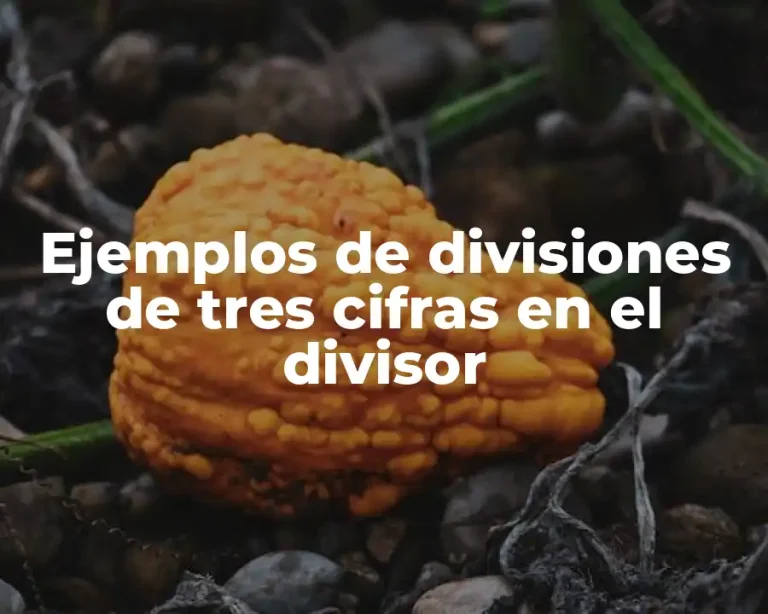Ejemplos de divisiones de tres cifras en el divisor