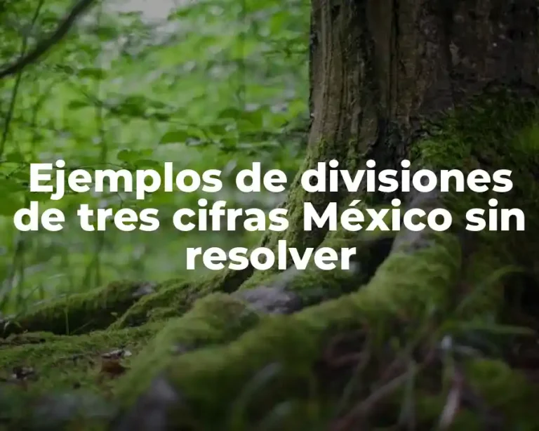 Ejemplos de divisiones de tres cifras México sin resolver