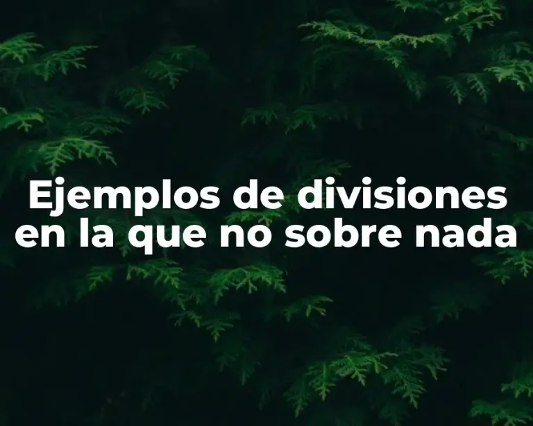 Ejemplos de divisiones en la que no sobre nada